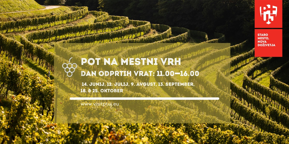 Pot na mestni vrh Pot na mestni vrh